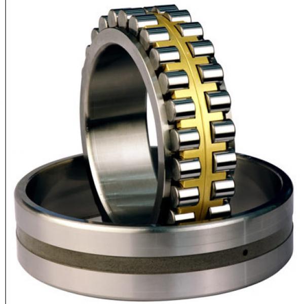 Bearing NNU4980MAW33 NNU49/500MAW33 #1 image